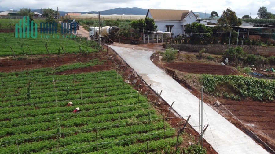 Đất nghỉ dưỡng giáp Đà Lạt giá hữu nghị