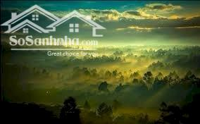 siêu phẩm đất nền sổ riêng săn mây tại trạm hành đalat