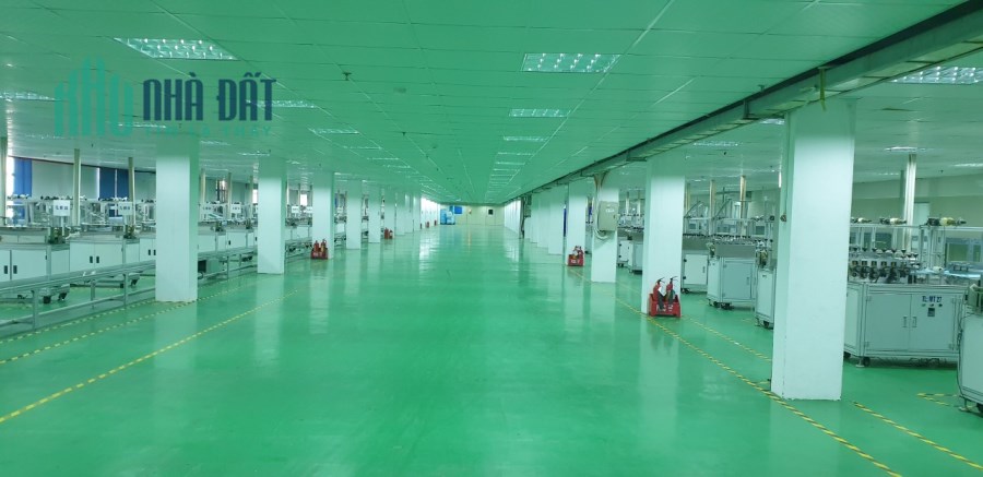 Xưởng 1000m2, 2000m2 cho thuê tại KCN Vsip, PCCC tự động, sàn epoxy, trần thạch cao giá chỉ 3.6$/m2
