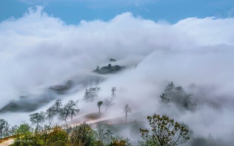 Bán 1000m2 đất trung tâm Y Tý- giá phù hợp để đầu tư