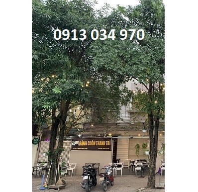 BÁN BIỆT THỰ - QUẬN LONG BIÊN 27 tỷ, 0913034970