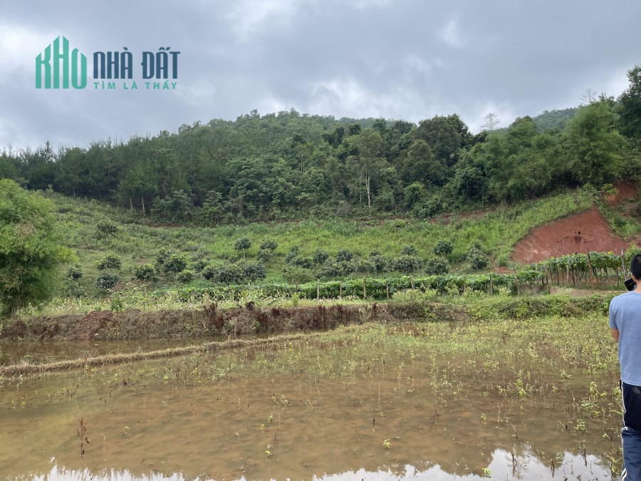 5,444m đất tại Bản Vặt Mộc Châu - khí hậu quanh năm mát mẻ