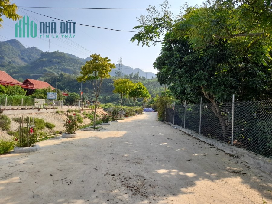 3678 m2 Đất thị trấn Mộc Châu thích hợp làm homestay, farm cho các nhà đầu tư