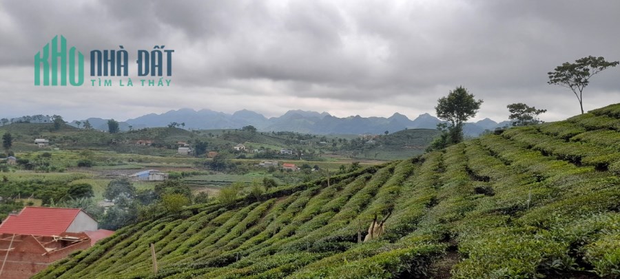 Sở hữu 1515m2 Đất Trung Tâm Mộc Châu - Phù Hợp Cho Các Nhà Đầu Tư Kinh Doanh Nhiều Loại Hình