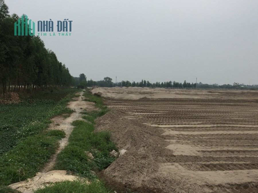 Chuyển nhượng đất lâm nghiệp 4320 m2 tại Thị xã Chí Linh Hải Dương