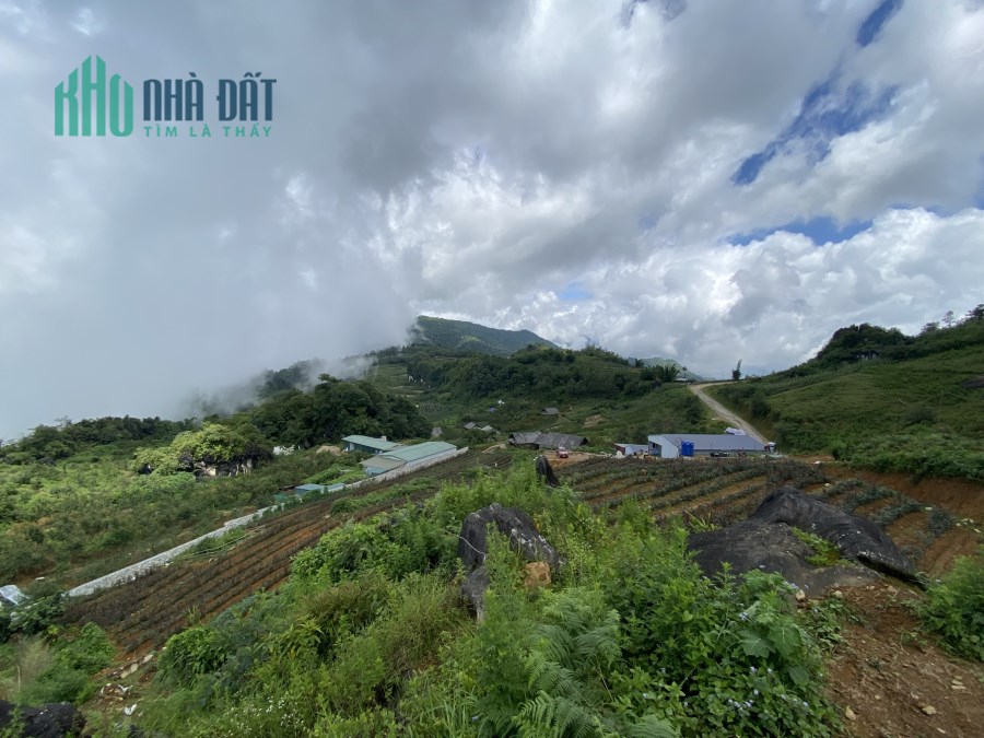 Sở Hữu Ngay Lô Đất 1840m2 Tại Mường Hoa(Sapa)- Nơi Ngắm Ruộng Bậc Thang Đẹp Nhất Việt Nam