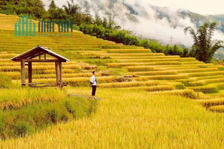 Mảnh  Đất 400m Thôn Lao Chải - Y Tý ( Sapa2) – Giá Đẹp Để Đầu Tư Đón Sóng Quy Hoạch