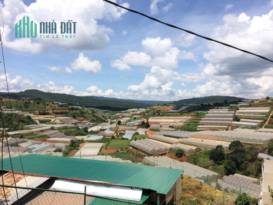 đa quý, xuân thọ, đà lạt