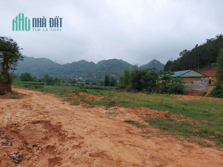 Bán ngay 2.5ha đất Mộc Châu làm homestay, trang trại