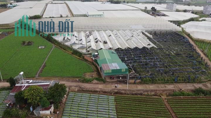 Bán Gấp Lô đất Thị Trấn Thạnh Mỹ - Ven Đà lạt ,Dt 125m2 Giá Chỉ 560 Triệu
