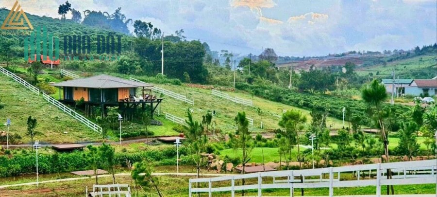 NGÔI NHÀ TRÊN ĐỒI- ĐẤT NỀN FULL THỔ CƯ TẠI TP BẢO LỘC