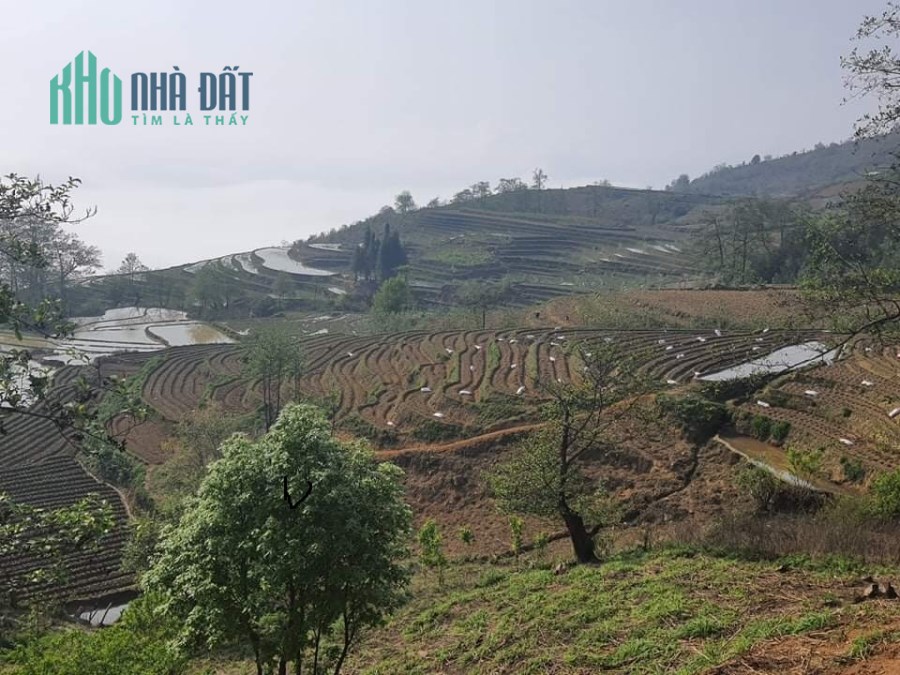 Bán lô đất hơn 600m2 trung tâm Y Tý view ruộng bậc thang siêu đẹp