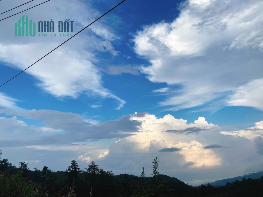 Cơ hội Sở hữu ngay lô đất 1000m2 tại thôn Phìn Hồ, Y Tý giá đẹp