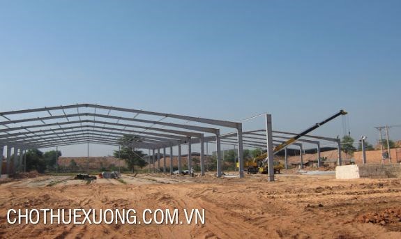 Cho thuê nhà xưởng mới 10000m2 tại Liên Lộc Hậu Lộc, Thanh Hóa