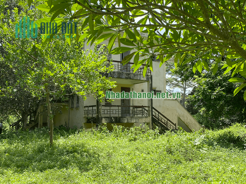 Chính chủ bán biệt thự cạnh sân golf Phượng Hoàng, Huyện Lương Sơn, Hòa Bình