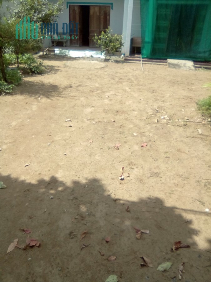 Chính chủ bán 905m2 đất Ấp Bến Tranh, Định An, Trà Cú, Trà Vinh, SHR, 750tr. Lh:0962979113