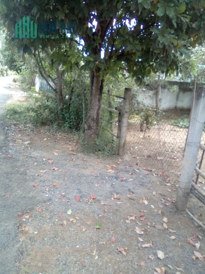 Chính chủ bán 905m2 đất Ấp Bến Tranh, Định An, Trà Cú, Trà Vinh, SHR, 750tr. Lh:0962979113