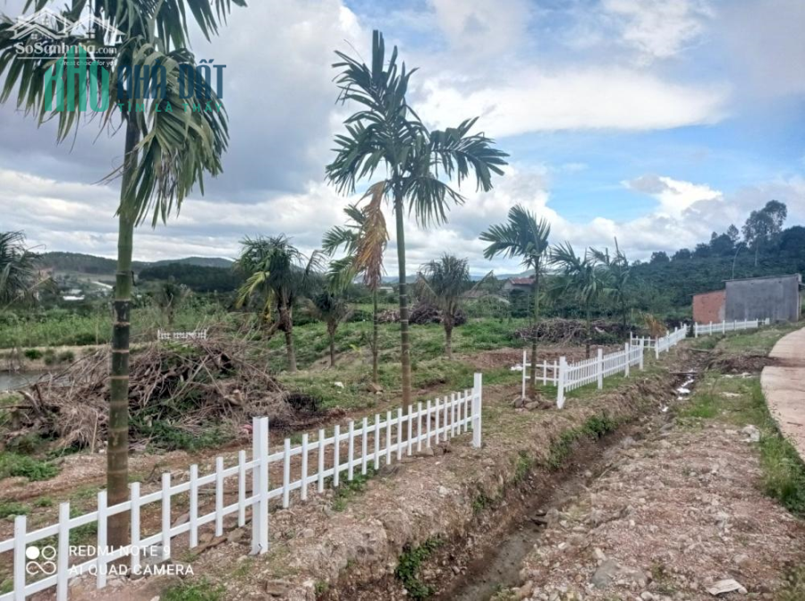 1312m2. Sẵn luôn ao cá   Có cả hàng rào xinh xinh