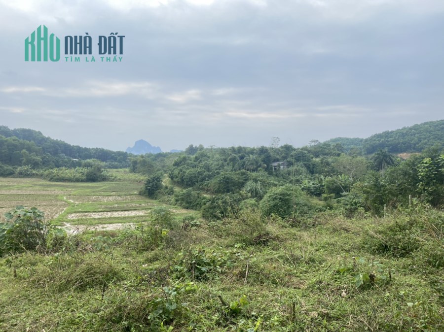 Bán lô đất view cánh đồng 4500m2/400m đất ở, Cư Yên, Lương Sơn, Hòa Bình