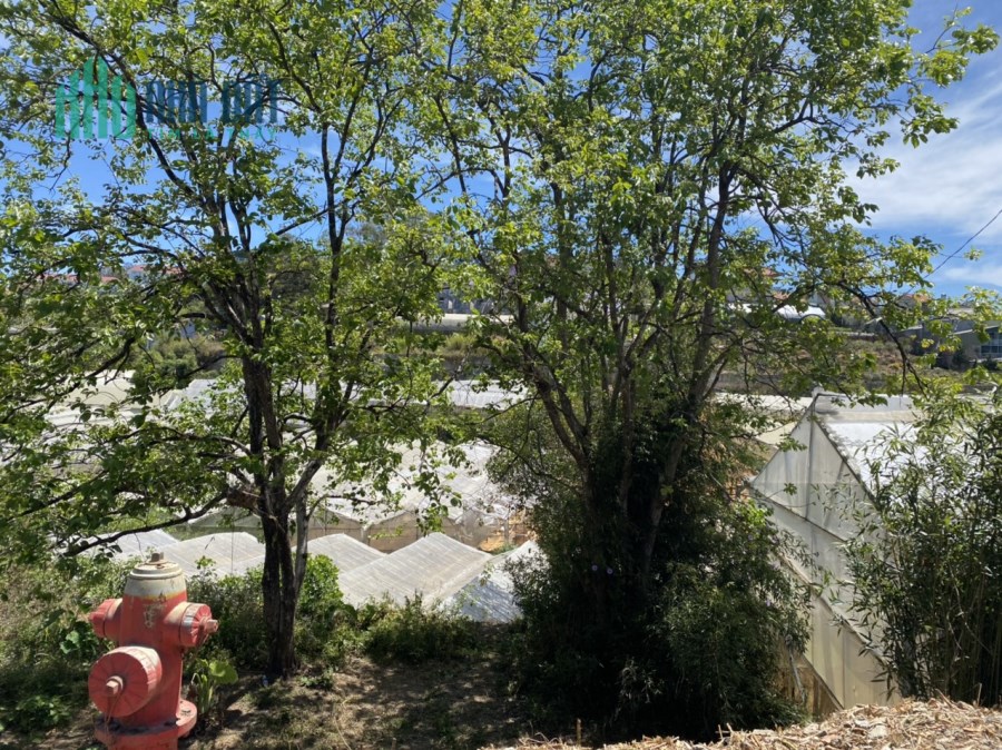 Bán đất mặt tiền Vạn kiếp thành phố đà lạt giá đầu tư