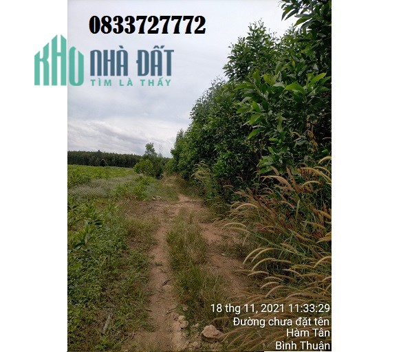 Bán đất Xuân Hoà, Xuân Lộc, Đồng Nai, 120tr/sào, 0833727772