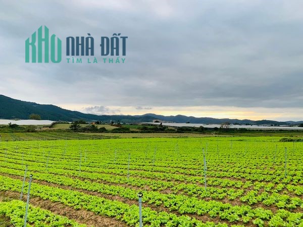 Đất giá rẻ vùng ven Đà Lạt - Đơn Dương - Lâm Đồng