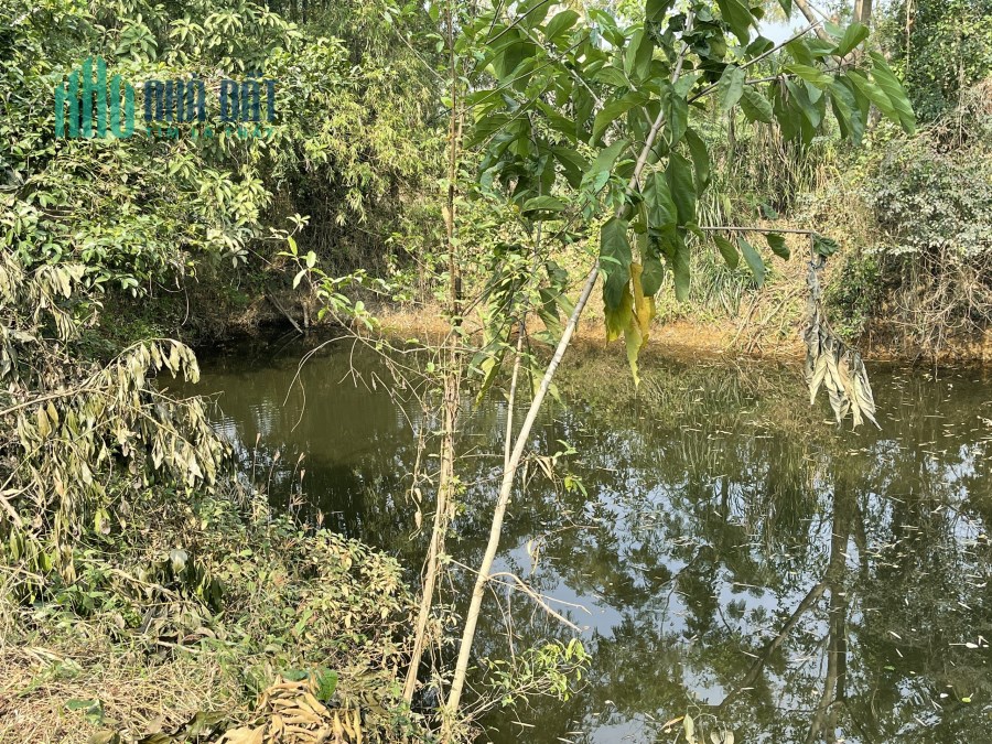 Bán đất 938m2/300m thổ cư tại Tân Tiến, Chương Mỹ, Hà Nội