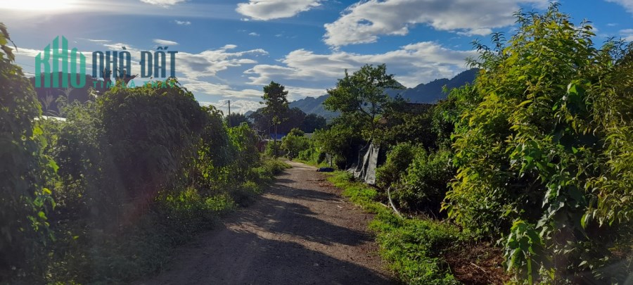 Mảnh đất hơn 1000m2 duy nhất tại Đông Sang, Mộc Châu phù hợp làm farmstay thu hút khách du lịch