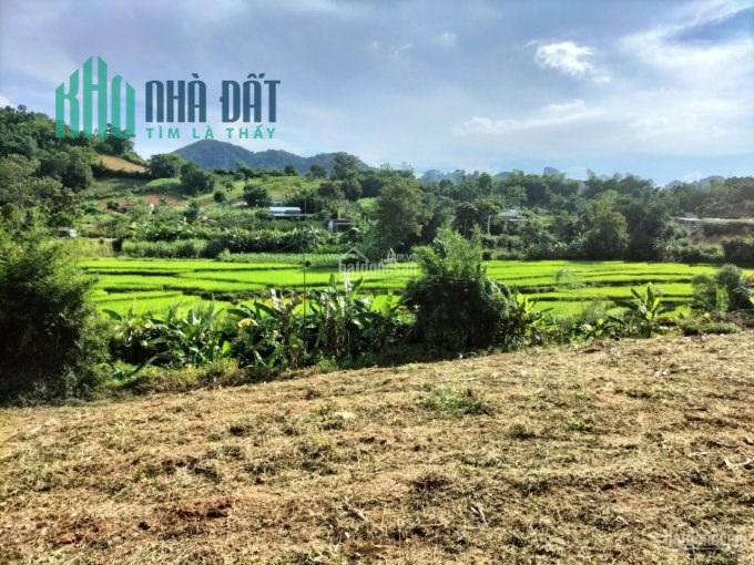 Đất huyện Cao Phong, Hòa Bình DT 578m2, view cao thoáng, giá đầu tư