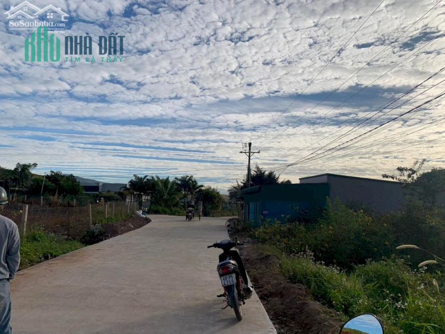 bds ven dalat thổ cư sẵn sổ riêng  công chứng liền
