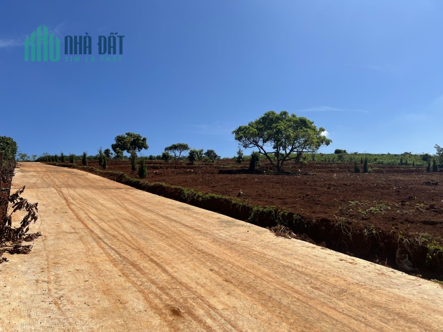 Bán Đất vùng ven Đà Lạt