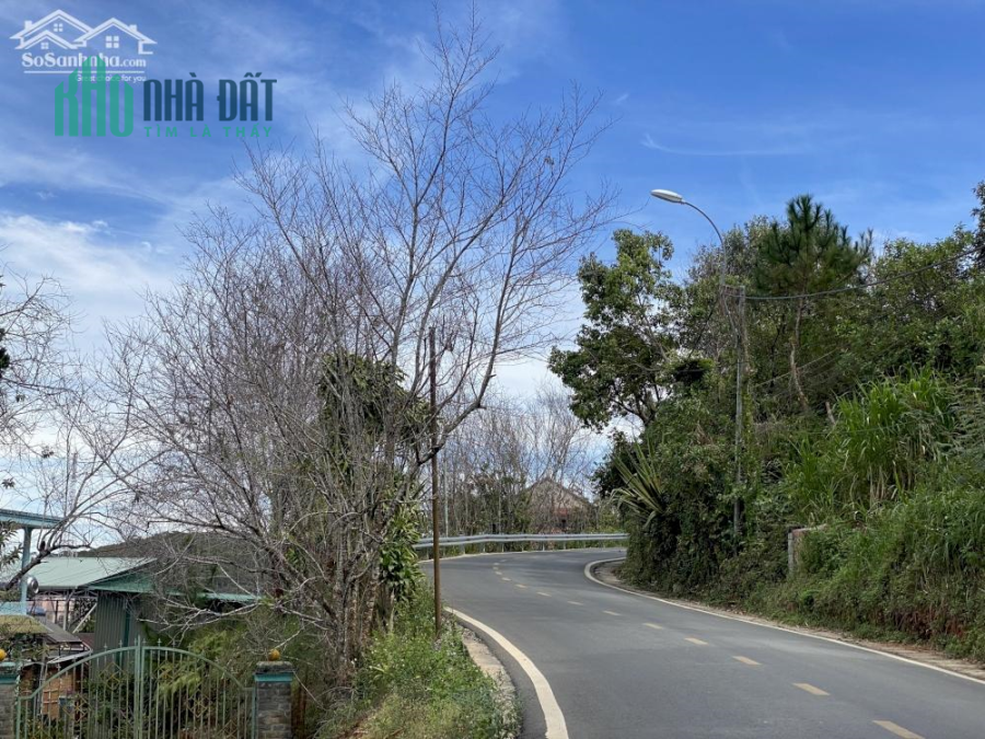 CẦN BÁN ĐẤT VIEW ĐẸP MẶT TIỀN ĐƯỜNG ĐỐNG ĐA PHƯỜNG 3 THÀNH PHỐ ĐÀ LẠT