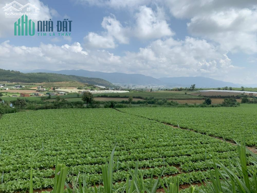 Bán hơn 1 sào nghỉ dưỡng giá 1 tỷ 150 triệu ngay trung tâm Ka Đơn - Đơn Dương - Lâm Đồng