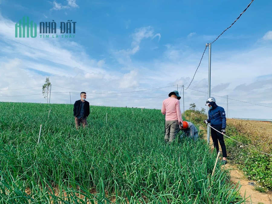 Chính chủ cần bán nhanh lô đất 1243m2 tại Ka Đơn, Đơn Dương, Lâm Đồng