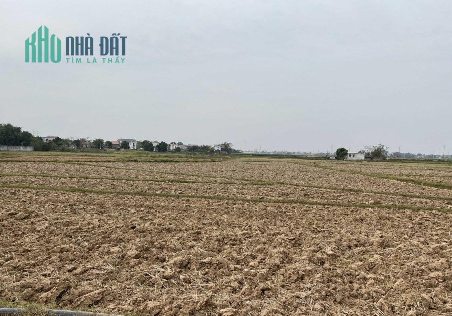 Chuyển nhượng đất sản xuất 1.4ha ở Tân Yên Bắc Giang