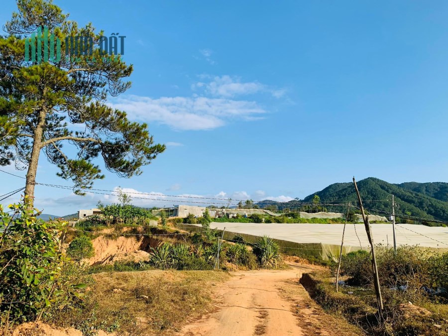 Bán nhanh lô đất sào 1243m2 tại Ka Đơn, Đơn Dương, Lâm Đồng