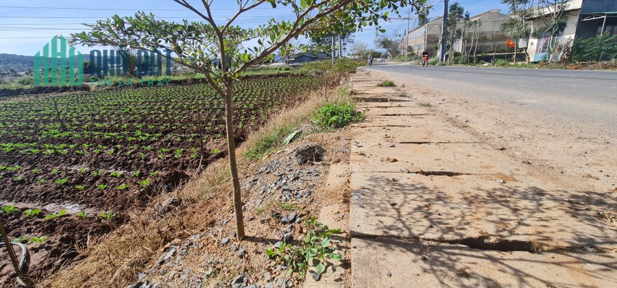Đất mặt tiền đường nhựa giá đầu tư