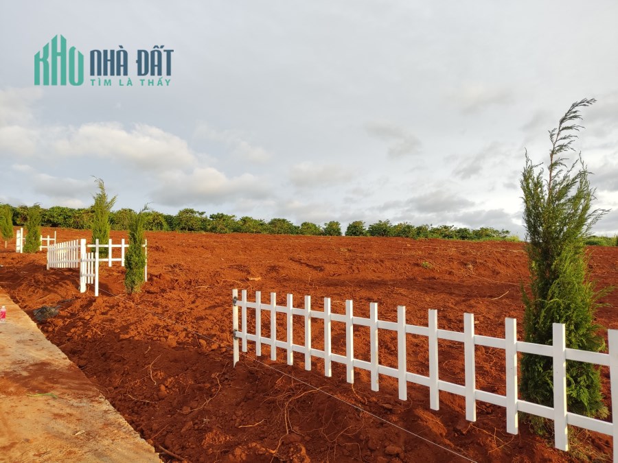 Chính chủ cần bán nhanh lô đất view núi đồi đẹp trên 500m2, sẵn sổ hồng tại Lâm Hà