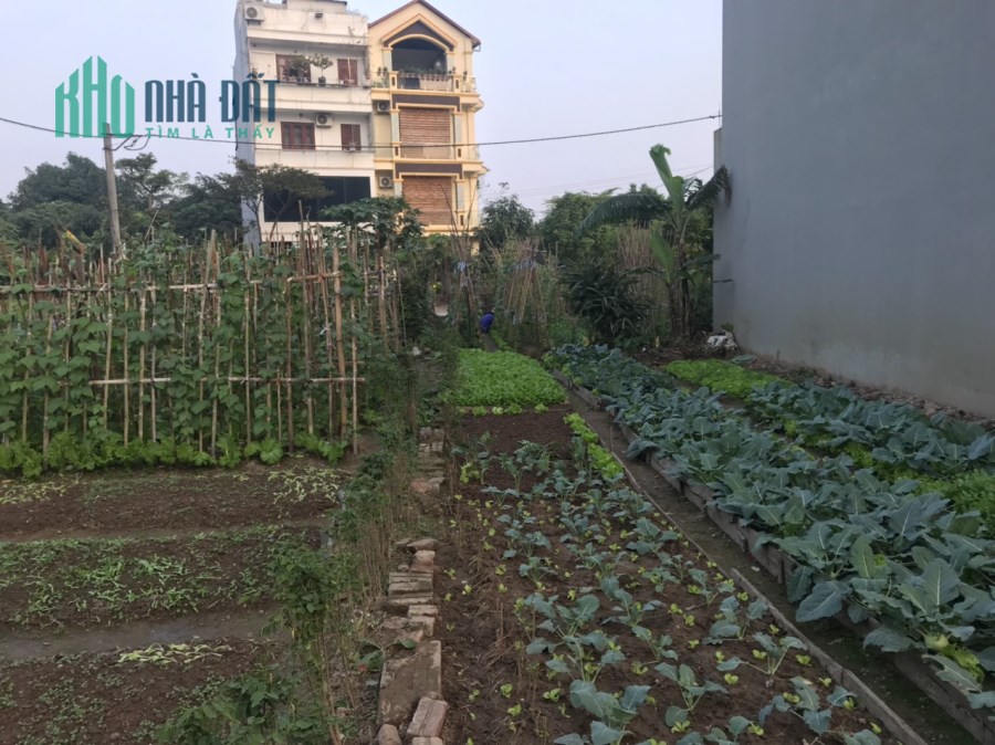 CẦN BÁN 240M ĐẤT 18TỶ-NGÕ THÔNG ÔTÔ TRÁNH-ĐẦU TƯ-NGỌC TRÌ LONG BIÊN