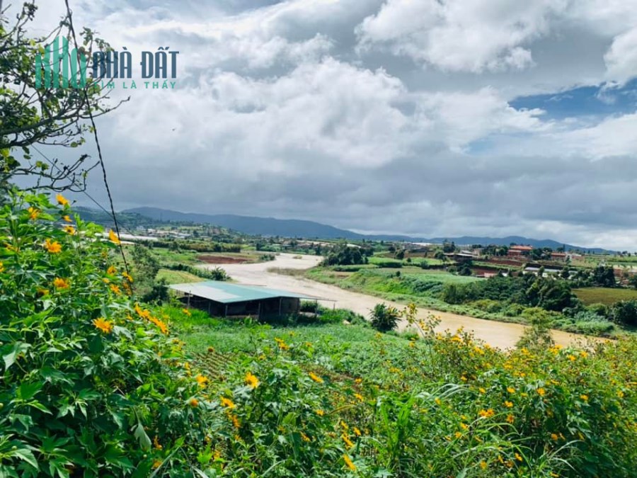 Chính chủ cần bán đất view sông tại Đạ Ròn, Đơn Dương  hơn 500m2