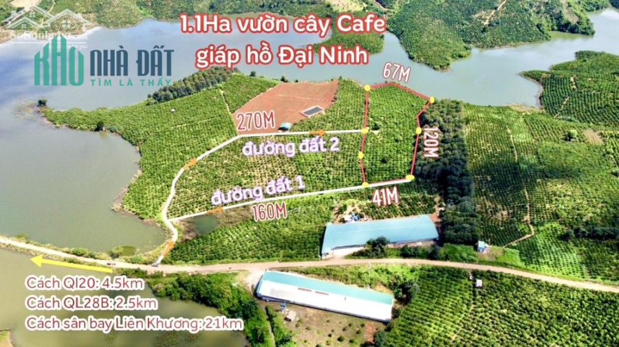 1.1Ha vườn Cfe giáp hồ Đại Ninh - Đức Trọng chỉ 600tr/sào