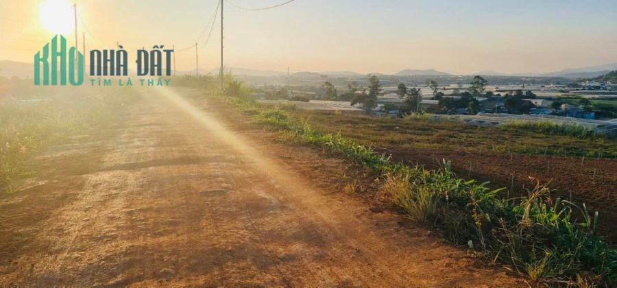 cần bán nhanh lô đất view đẹp 1243m2 tại Ka Đơn, Đơn Dương, Lâm Đồng