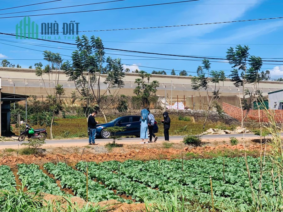 Chính chủ cần bán nhanh lô đất 170m2 - Thị trấn Thạnh Mỹ - Đơn Dương - Lâm Đồng