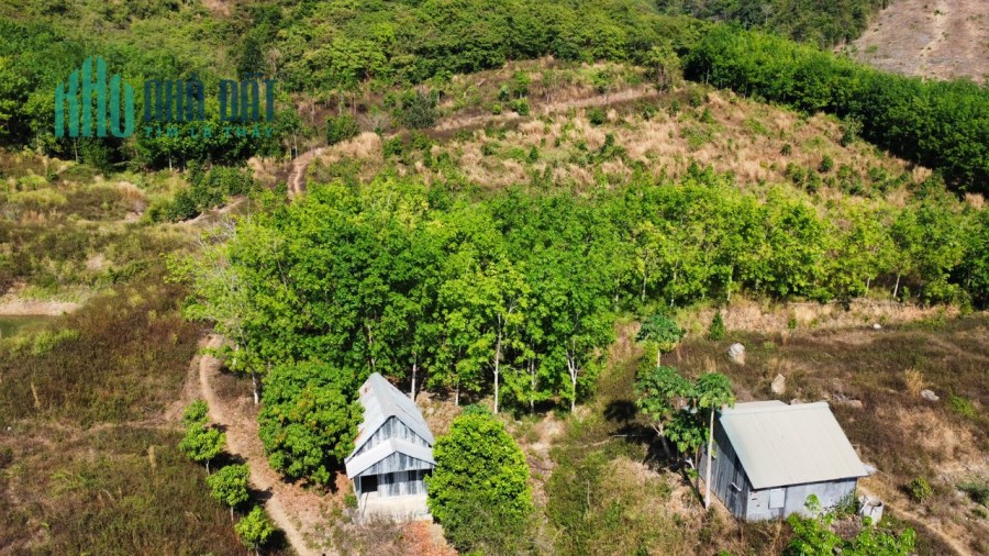 11 ha sát nhựa liên xã 1.14 tỷ /ha Tân Phúc Hàm Tân