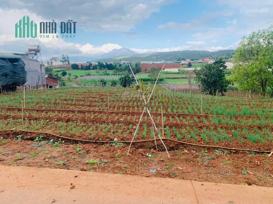 Bán đất vùng ven Đà Lạt hai mặt tiền đường tại Tu Tra, Đơn Dương