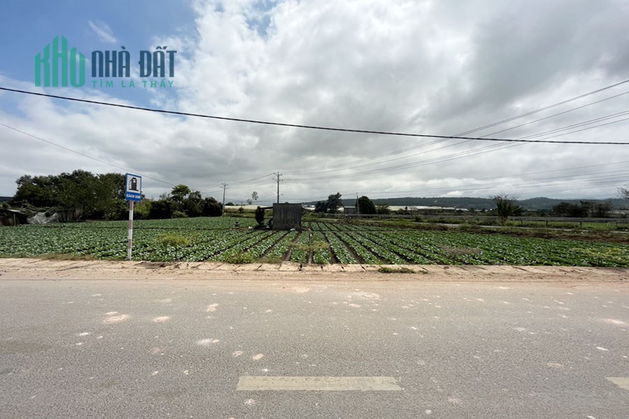 Bán Đất 1,29 Tỷ Ngã 3 Nguyễn Chí Thanh - Phạm Ngọc Thạch 5x34m 5x25m TC 72m2 TT Thạnh Mỹ - Đơn Dương