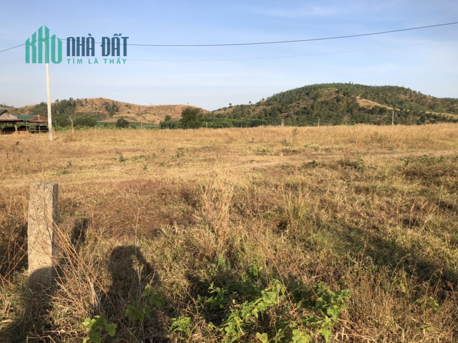3,7 sào 1,3 tỷ 90 m mặt đường Tân Nghĩa, Hàm Tân