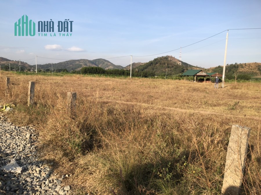 3,7 sào 1,3 tỷ 90 m mặt đường Tân Nghĩa, Hàm Tân