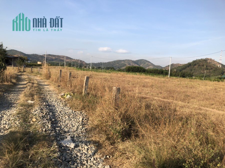 3,7 sào 1,3 tỷ 90 m mặt đường Tân Nghĩa, Hàm Tân
