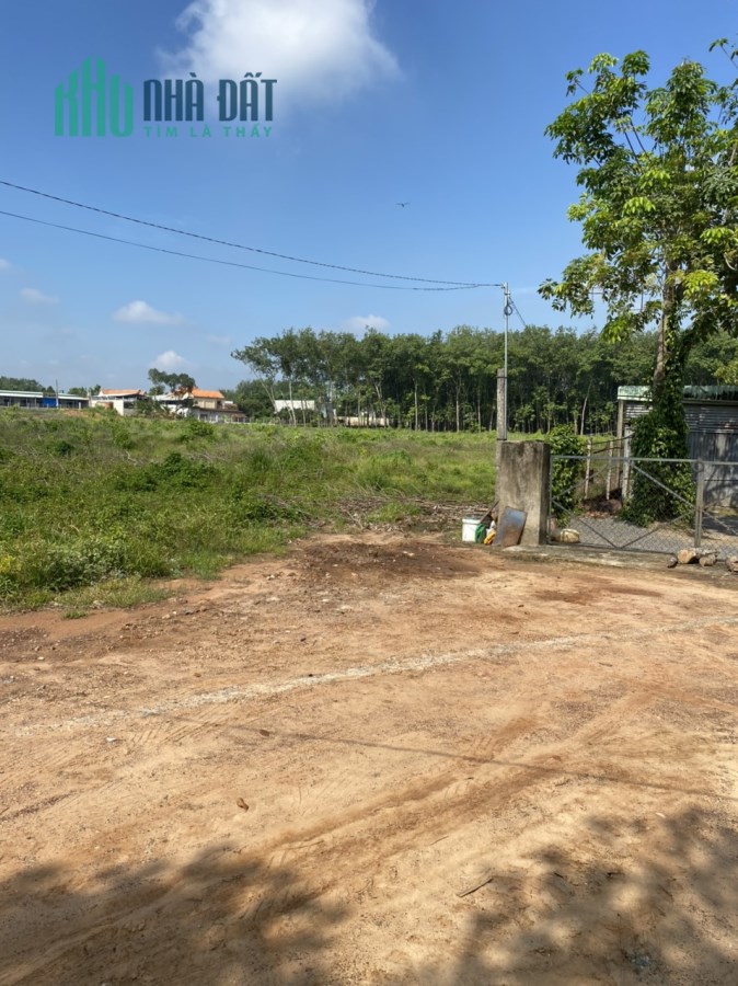 CHÍNH CHỦ CHUYỂN ĐỊNH CƯ RA BẮC BÁN GẤP LÔ ĐẤT,NHÀ CẤP 4 ĐANG CHO THUÊ,TIỆN ĐẦU TƯ